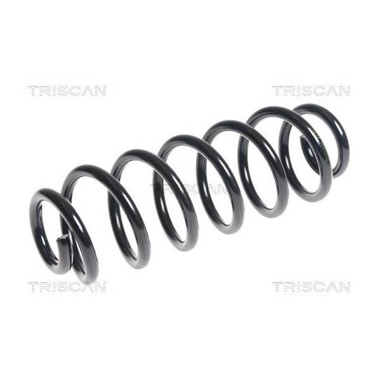 8750 29363 - Coil Spring 