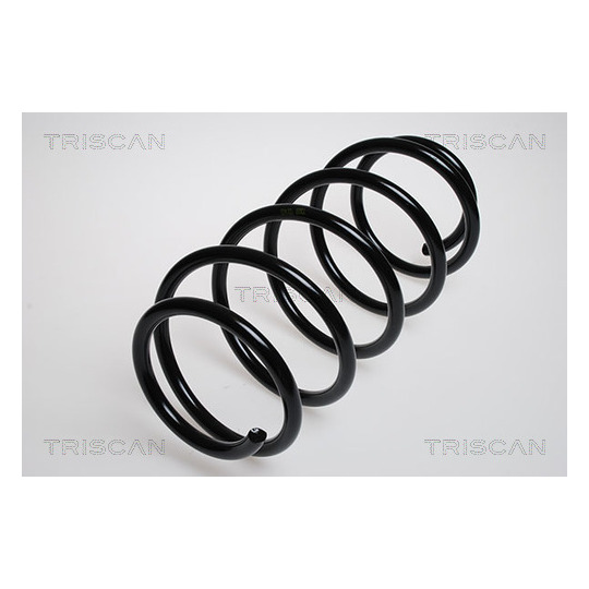 8750 2943 - Coil Spring 