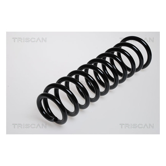 8750 2973 - Coil Spring 