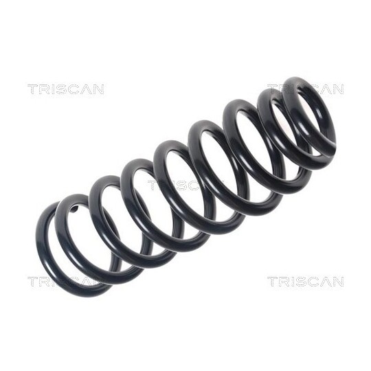 8750 40101 - Coil Spring 