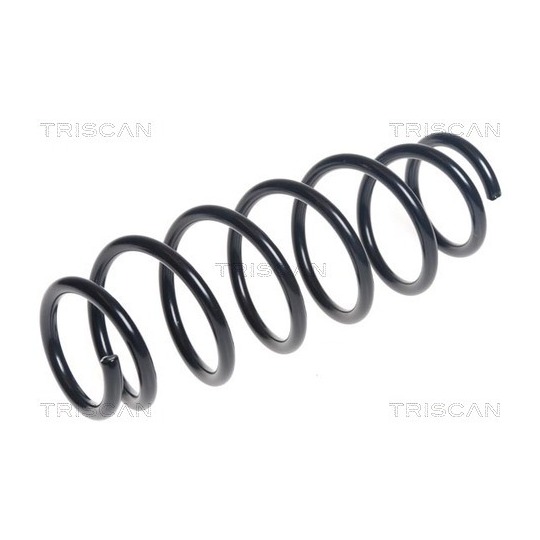 8750 42105 - Coil Spring 