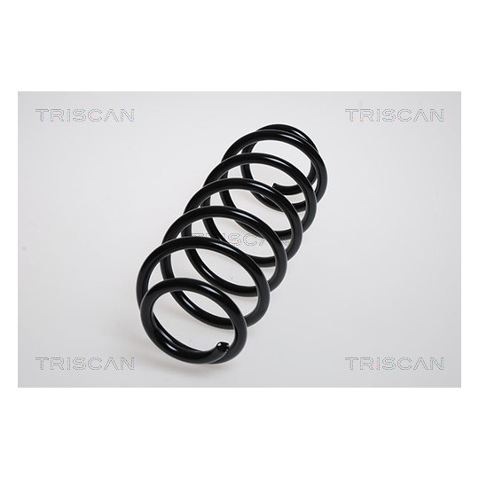 8750 4245 - Coil Spring 