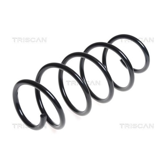 8750 4096 - Coil Spring 