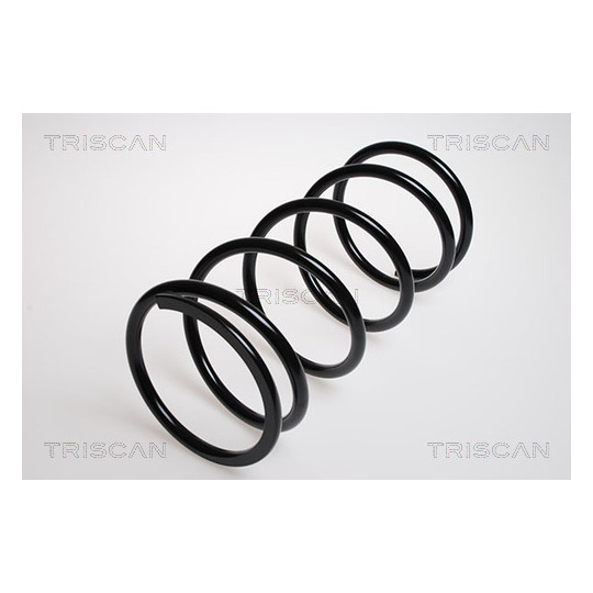 8750 4239 - Coil Spring 