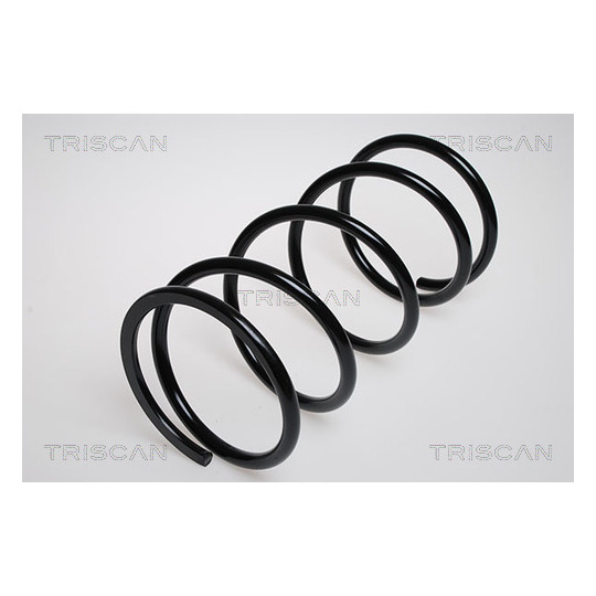 8750 4224 - Coil Spring 