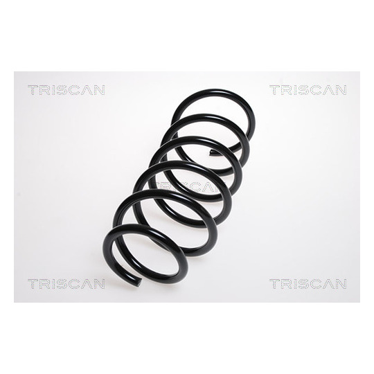 8750 4246 - Coil Spring 