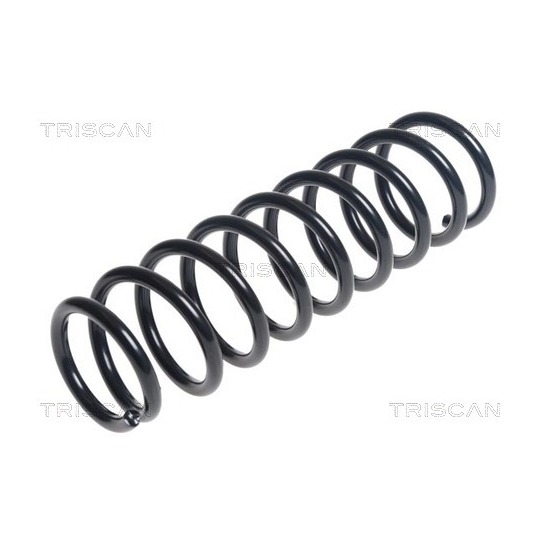 8750 4295 - Coil Spring 