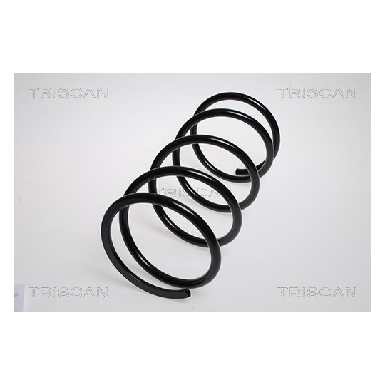 8750 4262 - Coil Spring 