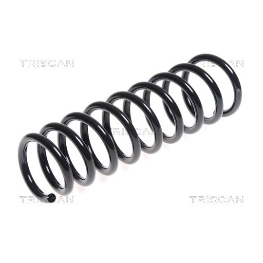 8750 43101 - Coil Spring 