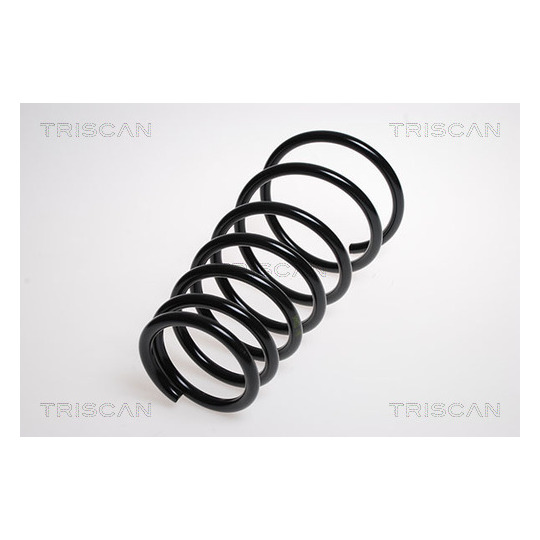 8750 4341 - Coil Spring 