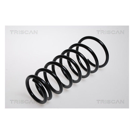 8750 4325 - Coil Spring 