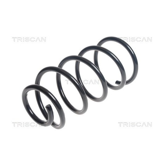 8750 50100 - Coil Spring 