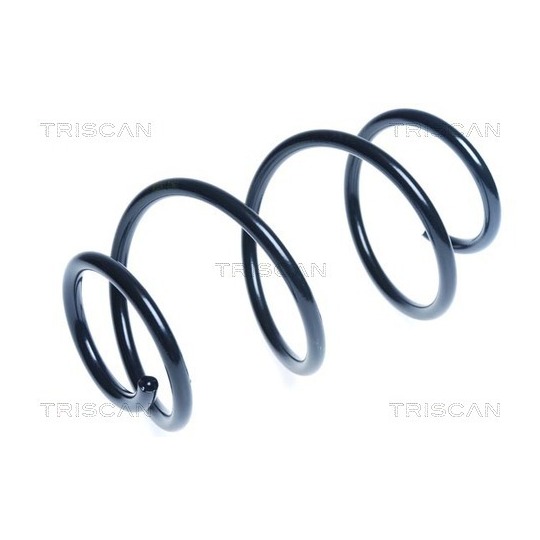 8750 4384 - Coil Spring 