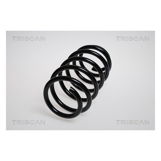 8750 6532 - Coil Spring 