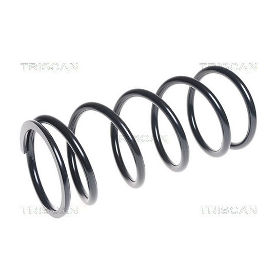 8750 6955 - Coil Spring 