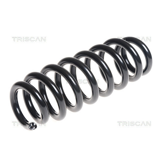 8750 6957 - Coil Spring 