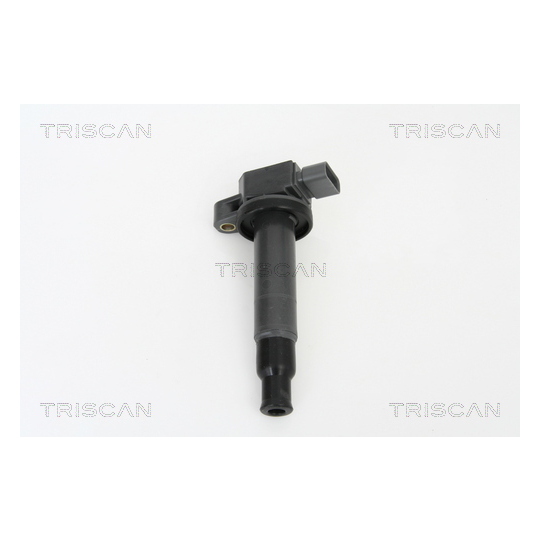 8860 13014 - Ignition Coil 