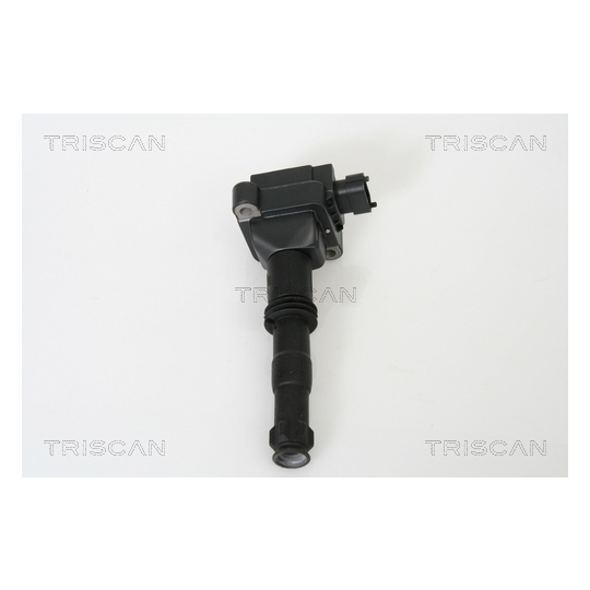 8860 20002 - Ignition Coil 