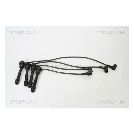 8860 4206 - Ignition Cable Kit 