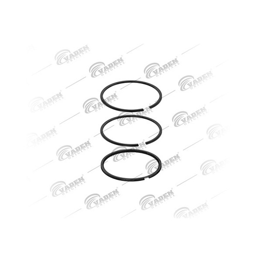 851 202 - Piston Ring Kit 