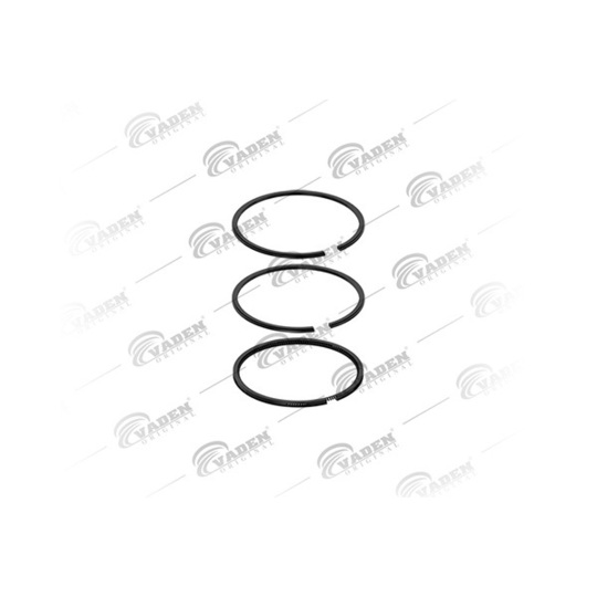 921 200 - Piston Ring Kit 