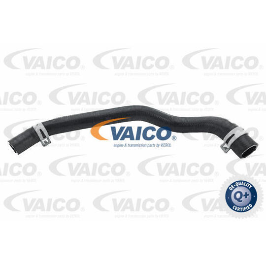 V25-2564 - Radiator Hose 