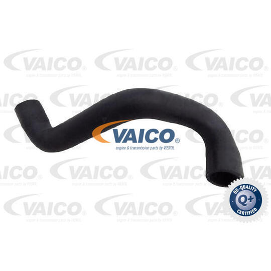 V25-2570 - Radiator Hose 