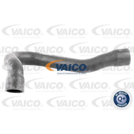 V30-0244 - Radiator Hose 