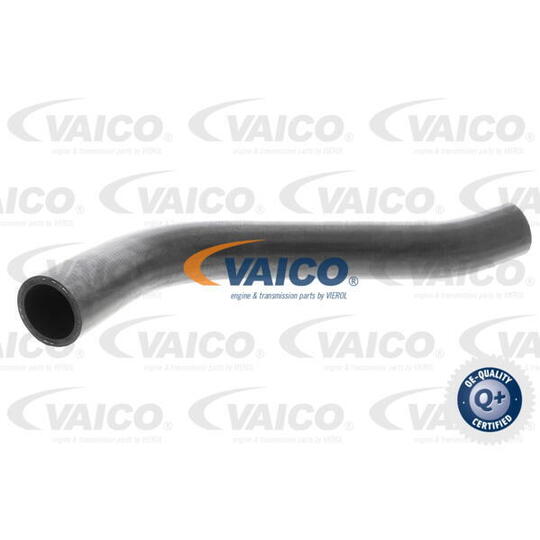 V30-0729 - Radiator Hose 