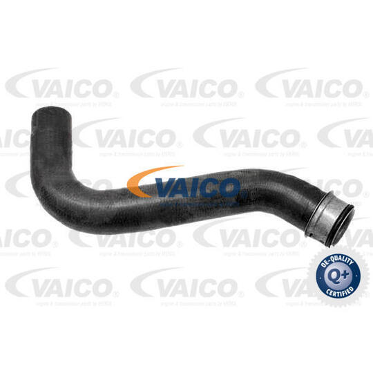 V30-1063 - Radiator Hose 