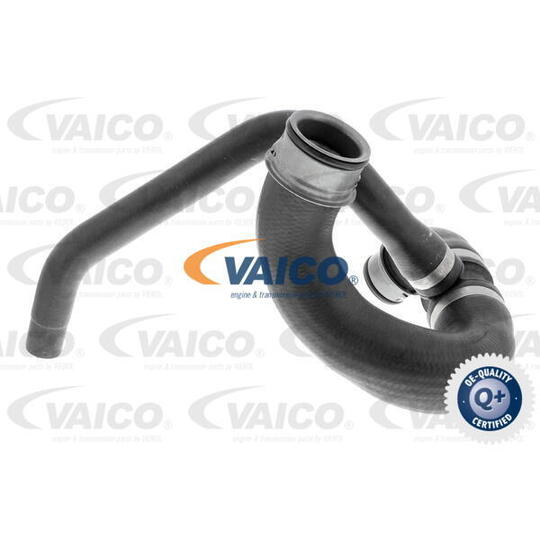 V30-3147 - Radiator Hose 