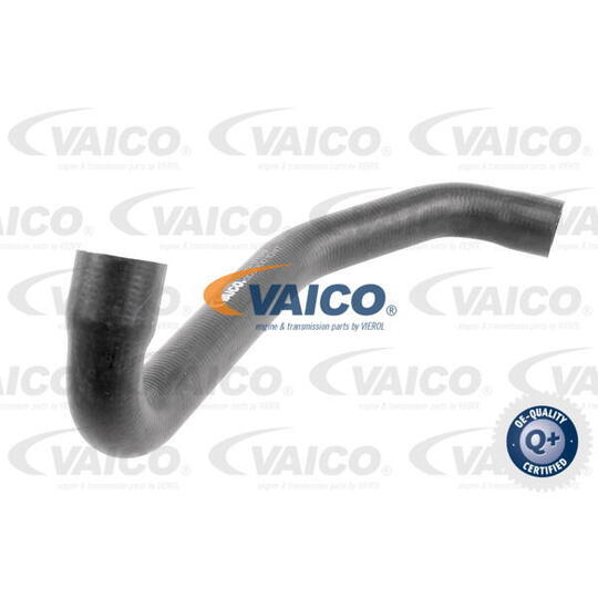 V30-3139 - Radiator Hose 