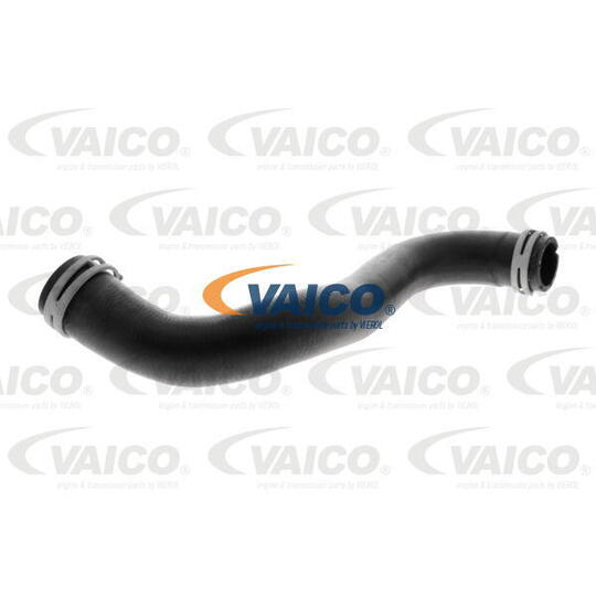 V30-4231 - Radiator Hose 