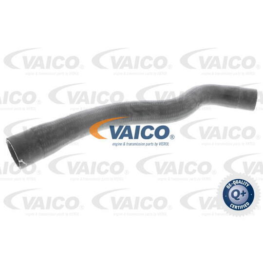 V40-1995 - Radiator Hose 