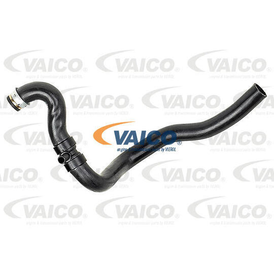 V42-0765 - Radiator Hose 