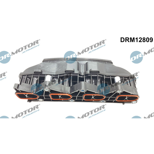 DRM12809 - Intake Manifold Module 