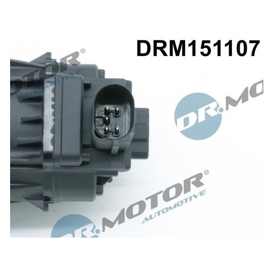 DRM151107 - EGR-klapp 