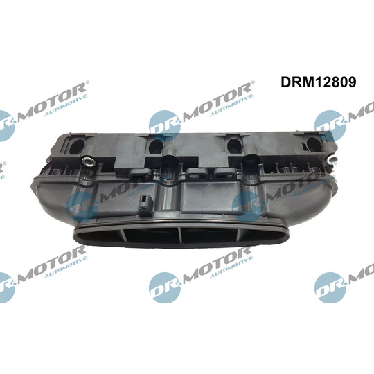 DRM12809 - Intake Manifold Module 