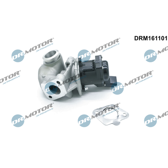 DRM161101 - EGR Valve 