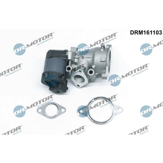 DRM161103 - EGR Valve 