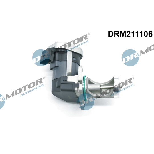 DRM211106 - EGR Valve 