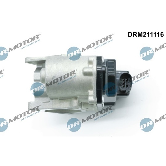 DRM211116 - EGR Valve 