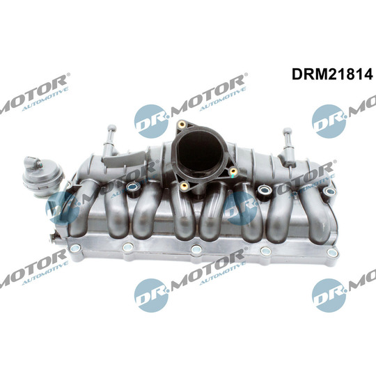 DRM21814 - Intake Manifold Module 