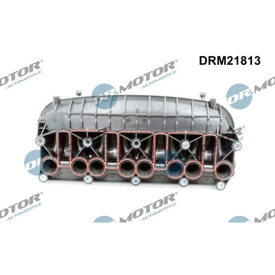 DRM21813 - Intake Manifold Module 