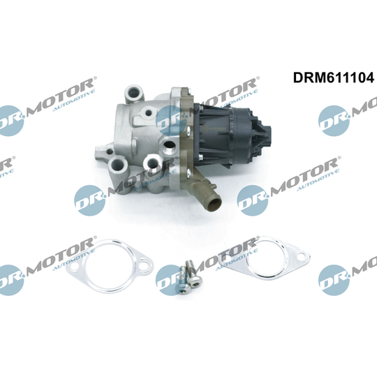 DRM611104 - EGR Valve 