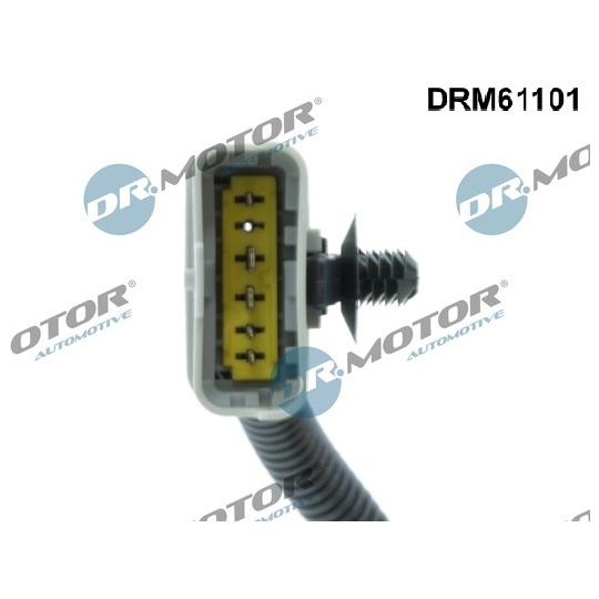 DRM61101 - EGR Valve 