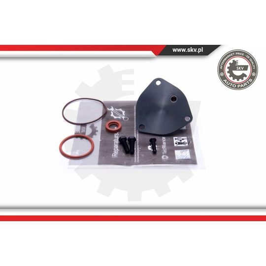 18SKV806 - Repair Set, vacuum pump (braking system) 