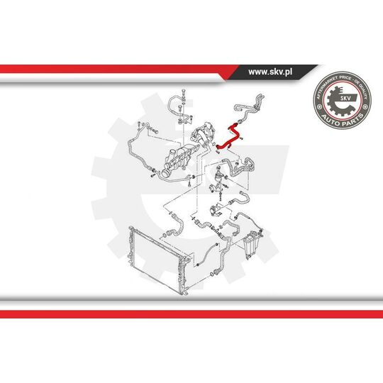 43SKV777 - Coolant Tube 