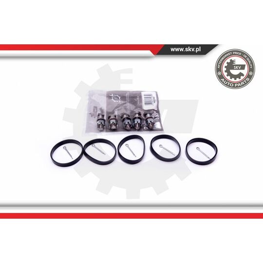 49SKV524 - Repair Kit, intake manifold module 