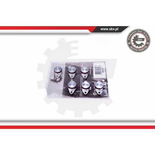 49SKV545 - Repair Kit, intake manifold module 